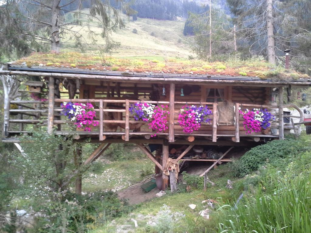 Biobergbauernhof Brandenau Apartment Taxenbach Luaran gambar